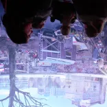 asisi Panorama