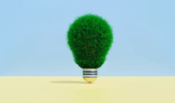 Light bulb covered in grass shows concept of thinking green
