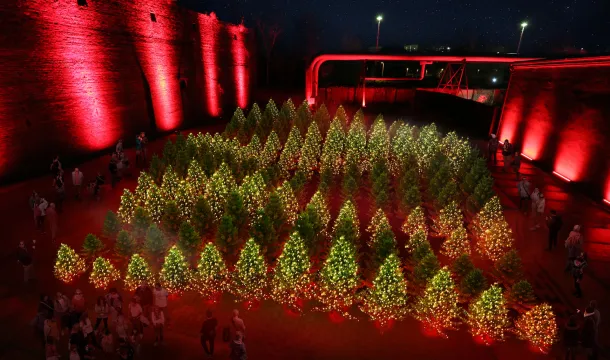 Winterlights